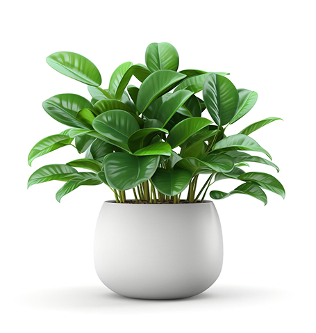 Choose Artificial natural looking plants also known as succulents or table tops for home & office from Magic Plants
