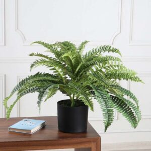 artificial fern