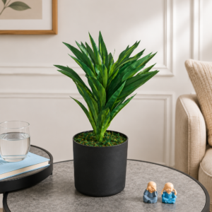 dracaena green 46 cm
