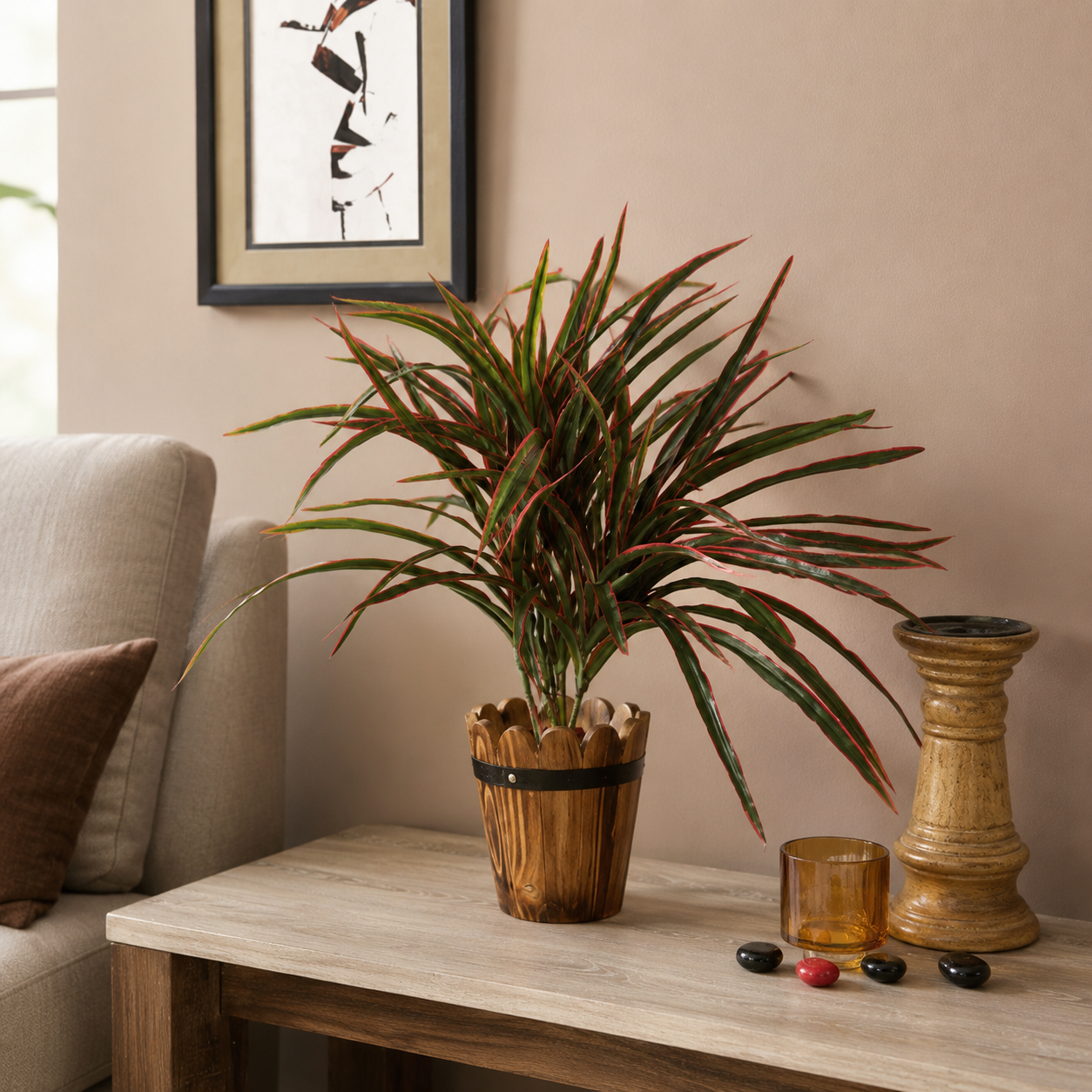 dracaena bush red 2 ft dracaena bush red 2 ft