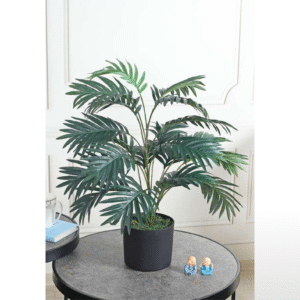 Areca dark green 2.5 ft