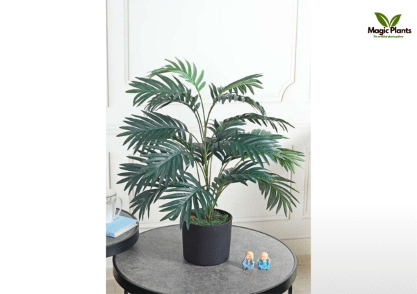 Areca dark green 2.5 ft