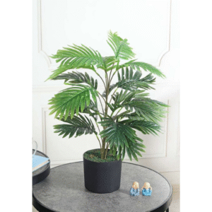 arica palm light green 2.5 ft