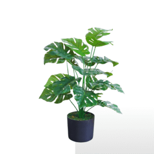 monstera leaf 2.5 feet