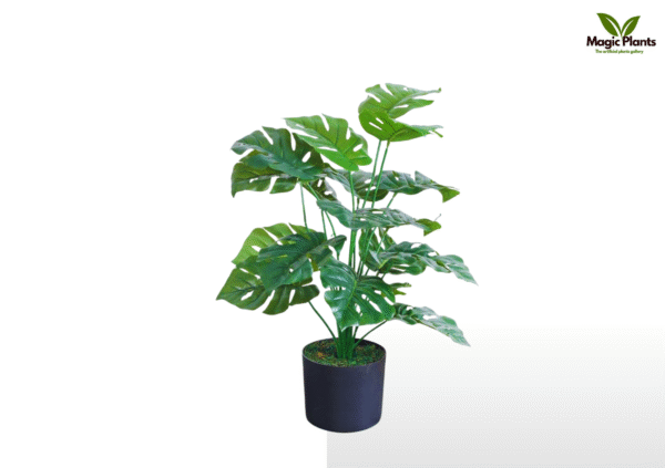 monstera leaf 2.5 feet