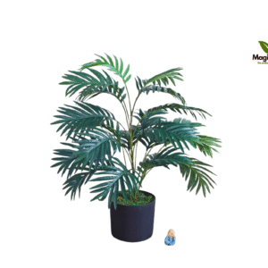 areca dark green 2.5 ft