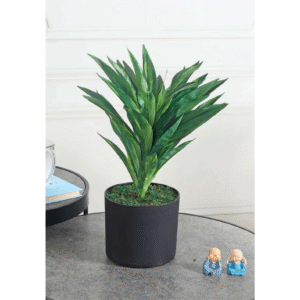 Dracaena Green 46 CM