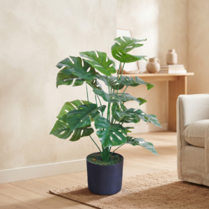 monstera leaf 2.5 feet