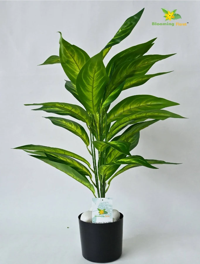 artificial plant dieffenbachia 35cm 1.2 feet artificial plant dieffenbachia 35cm 1.2 feet