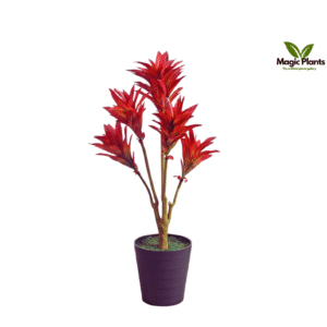 artificial plant dracaena red 2.8 feet
