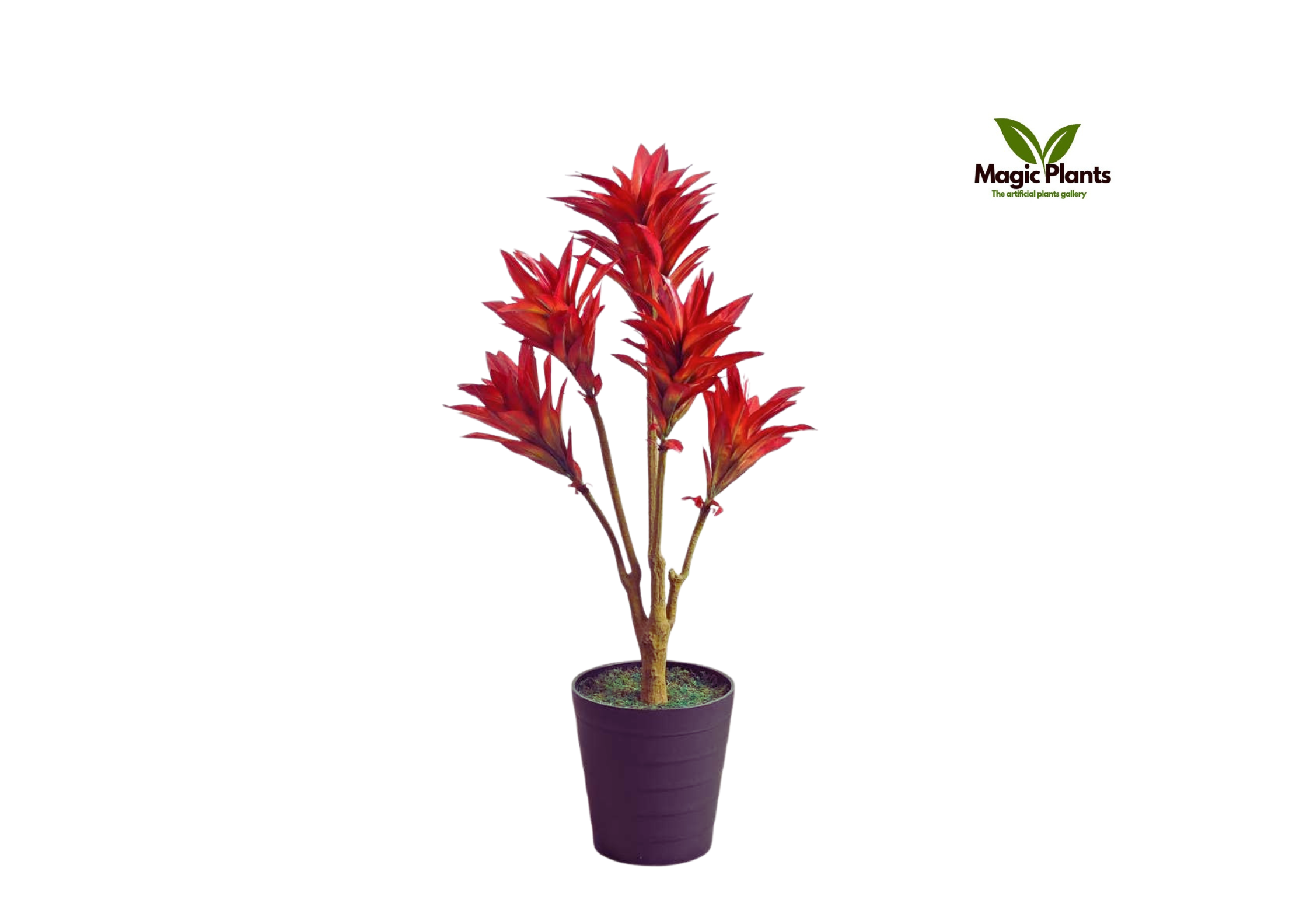 artificial plant dracaena red 2.8 feet artificial plant dracaena red 2.8 feet