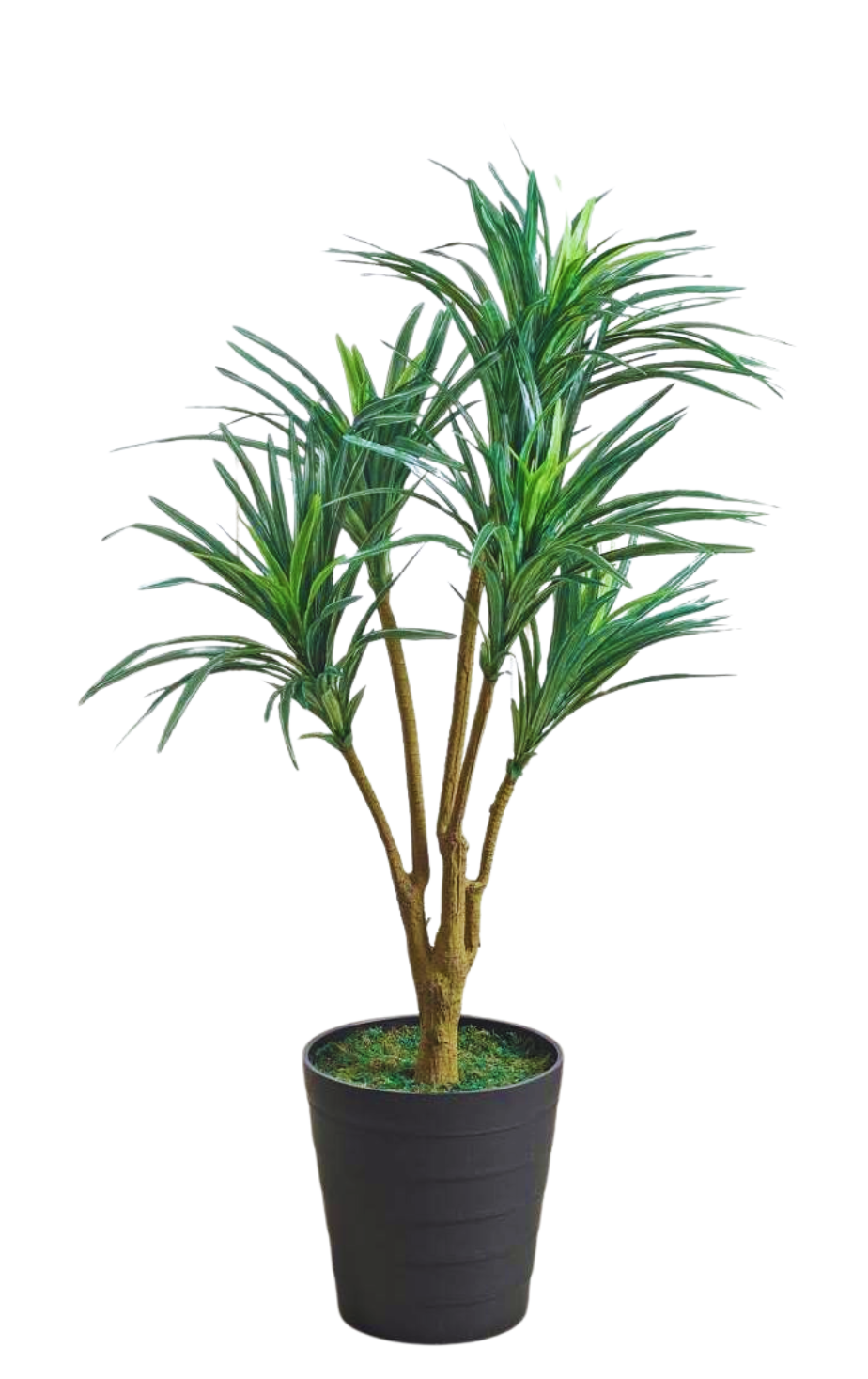 artificial plant yucca green 3 feet artificial plant yucca green 3 feet