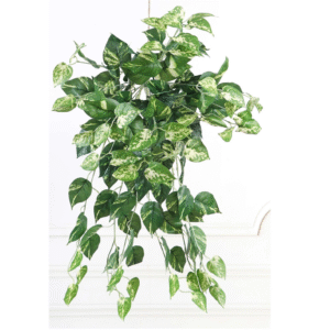 artificial money plant hanging plant