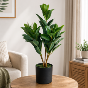 artificial rubber plant 2 feet