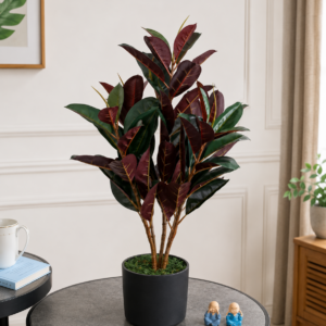 artificial rubber plant