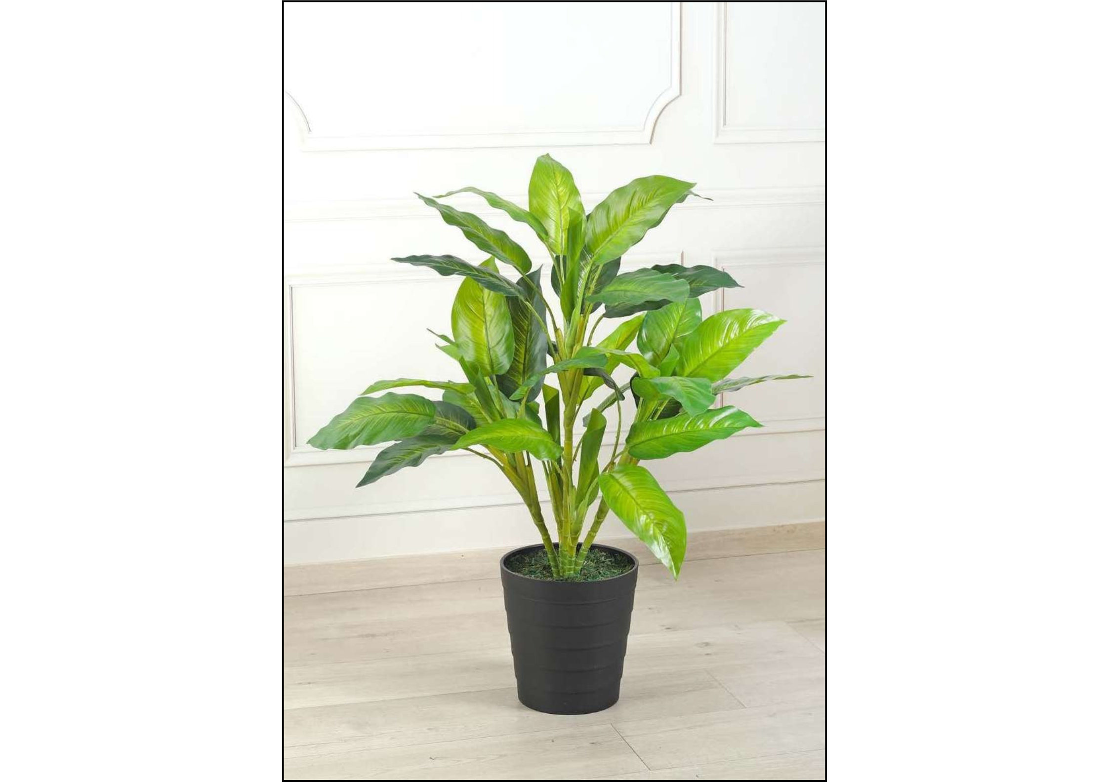 artificial plant dieffenbachia yellow green 80cm 2.7 feet artificial plant dieffenbachia yellow green 80cm 2.7 feet