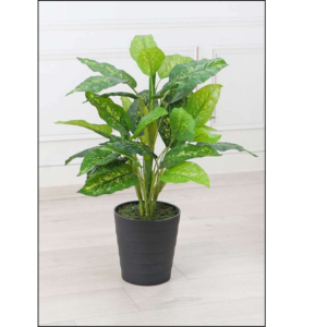 artificial plant dieffenbachia green 80cm 2.7 feet