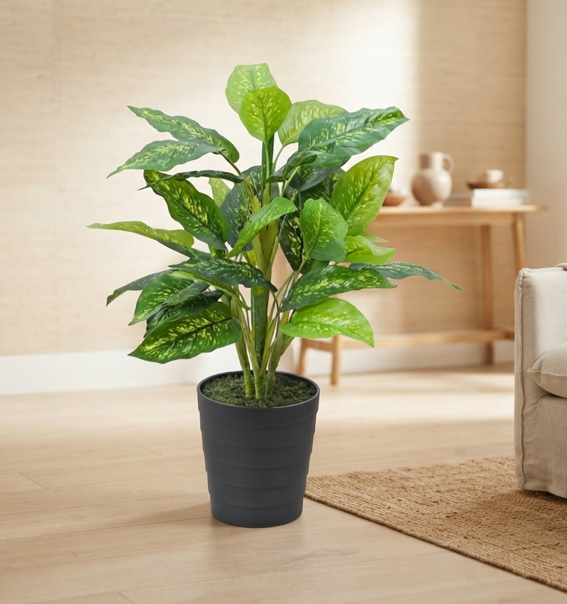 artificial plant dieffenbachia green 80cm 2.7 feet artificial plant dieffenbachia green 80cm 2.7 feet