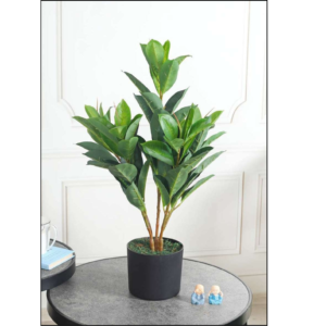 artificial rubber plant 65cm 2 feet