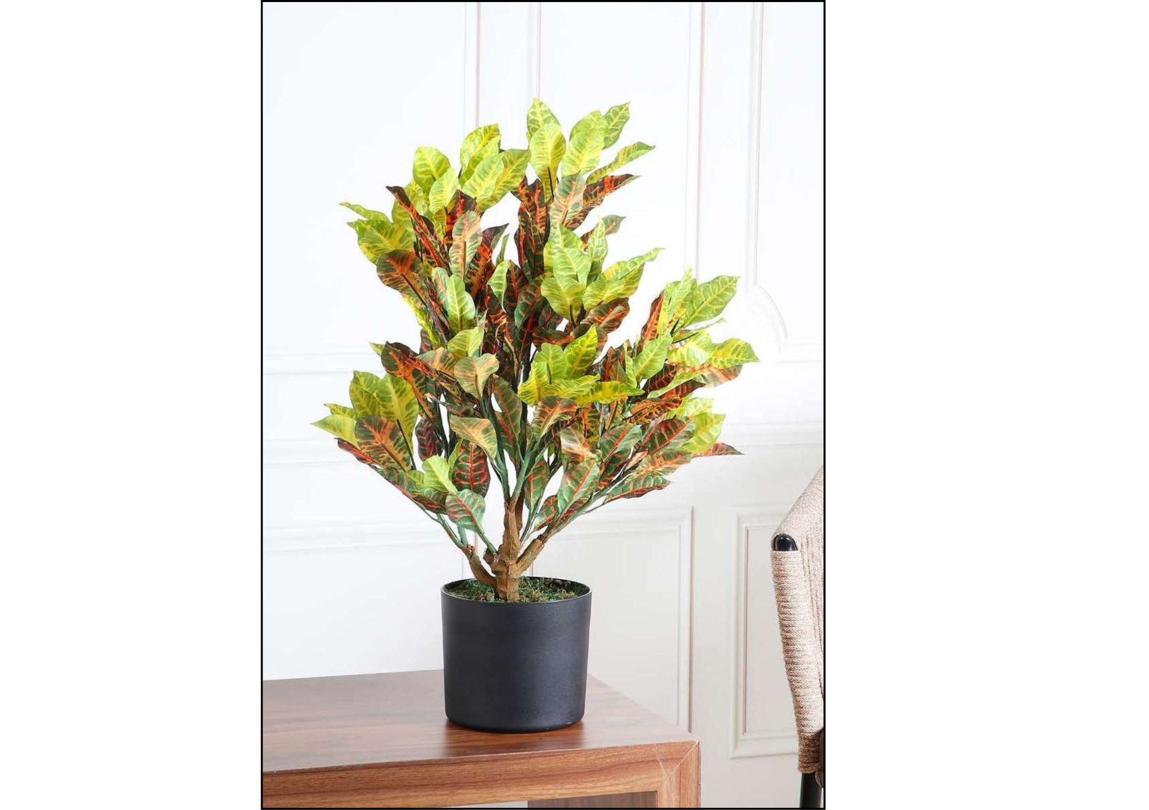 artificial plant croton 2 feet artificial plant croton 2 feet