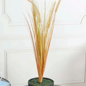 dogtail grass (brown) 75 cm
