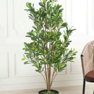 schefflera artificial plant