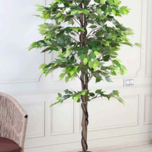 ficus artificial plant (6 feet)