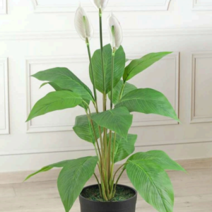 spathiphyllum (white) artificial plant