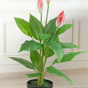 spathiphyllum pink artificial plant