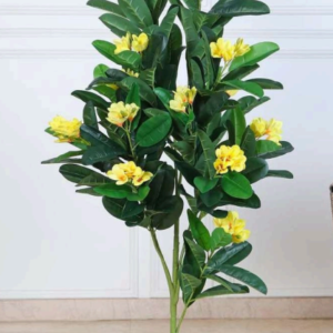 frangipani yellow