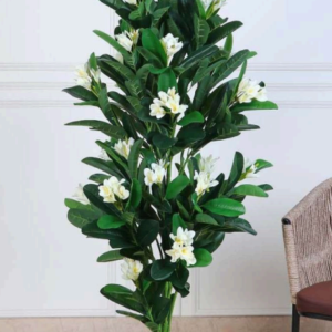 frangipani white 6ft