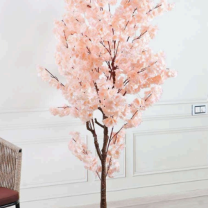 peach cherry blossom 6ft