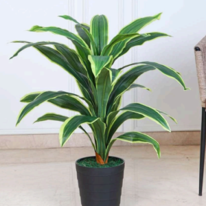 dracaena artificial plant