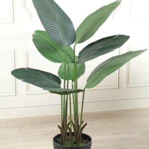 traveller banana 4ft