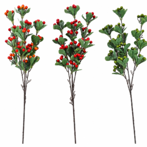 hypericum berries