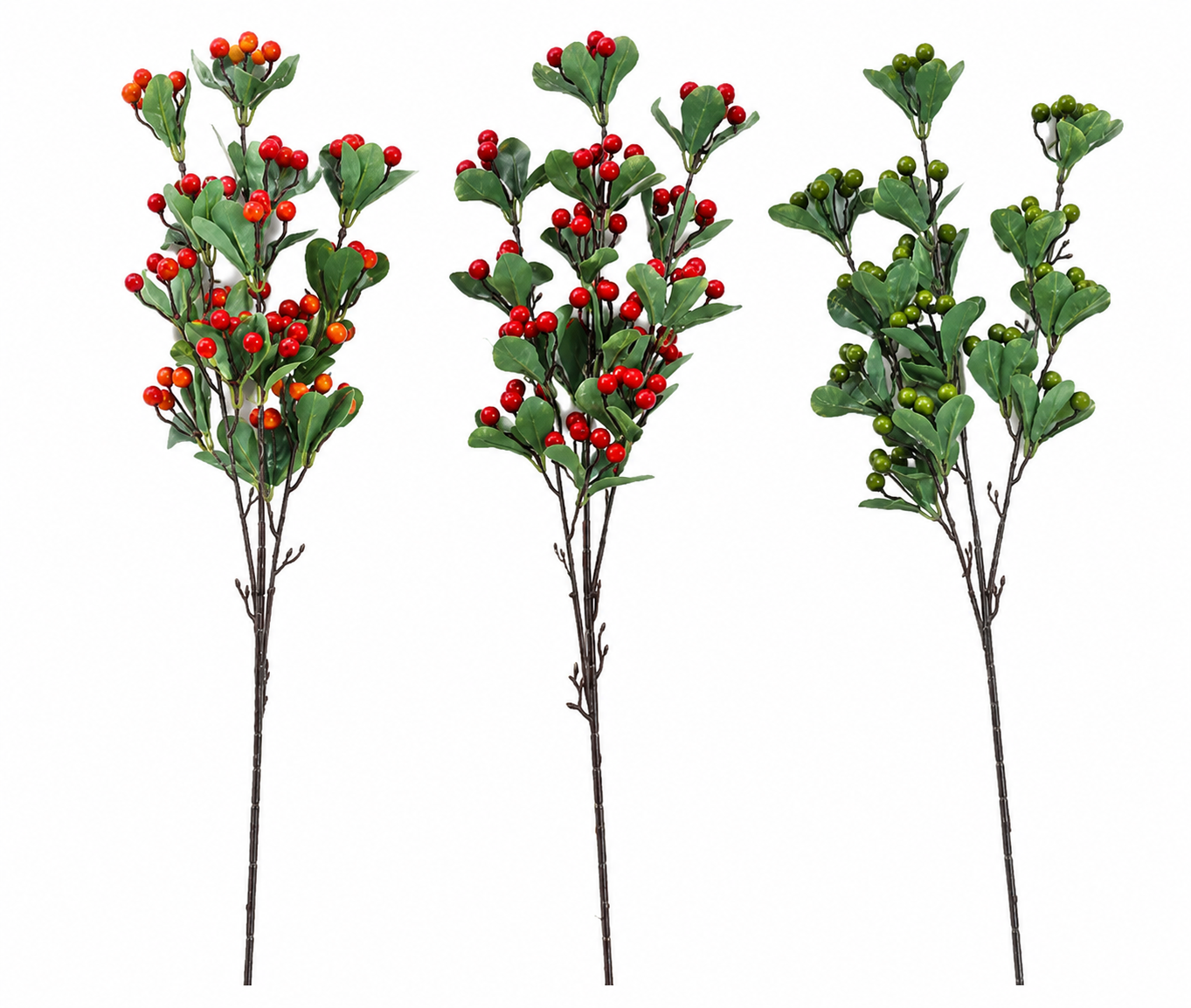 hypericum berries hypericum berries