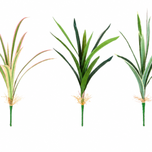 artificial orchid leaves