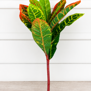 artificial croton plant