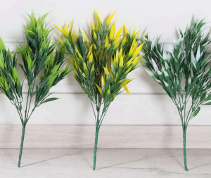 Bamboo Plant