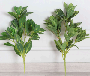Assorted Leaves
