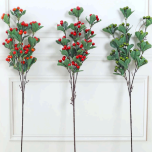 Hypericum Berries