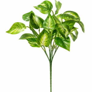 artificial dumb canes plant