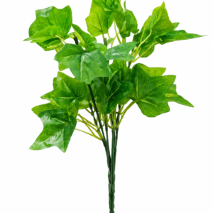 green ivy plant