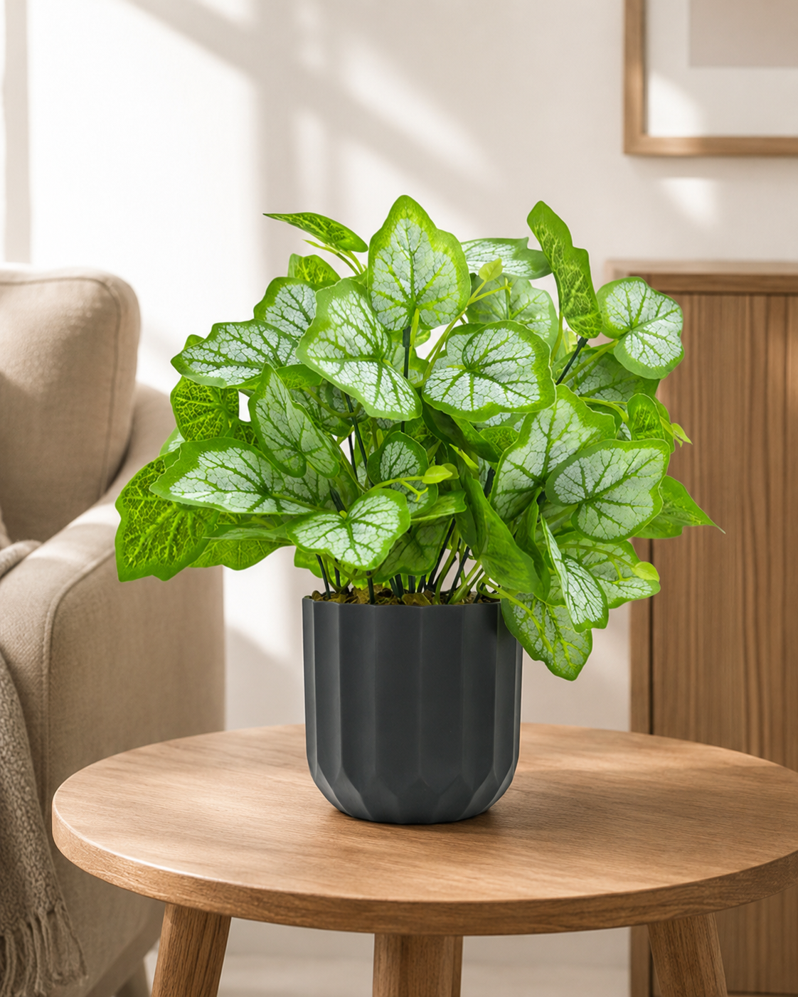 monstera dubia plant monstera dubia plant