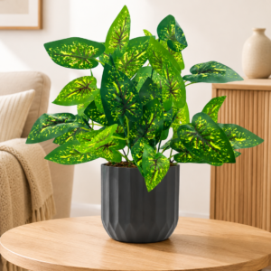 artificial syngonium plant
