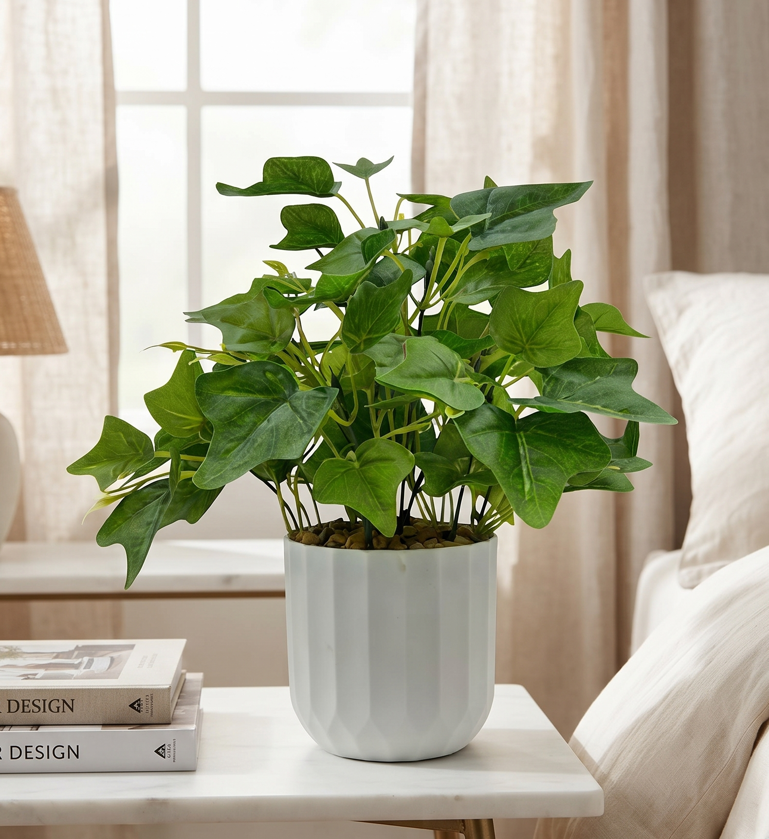 green ivy plant with pot green ivy plant with pot