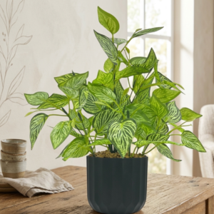 Artificial Patelshue Plant