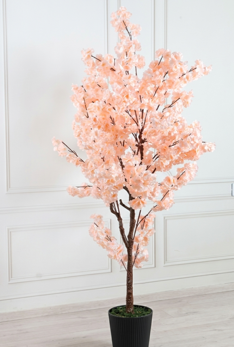 Peach cherry blossom Peach cherry blossom