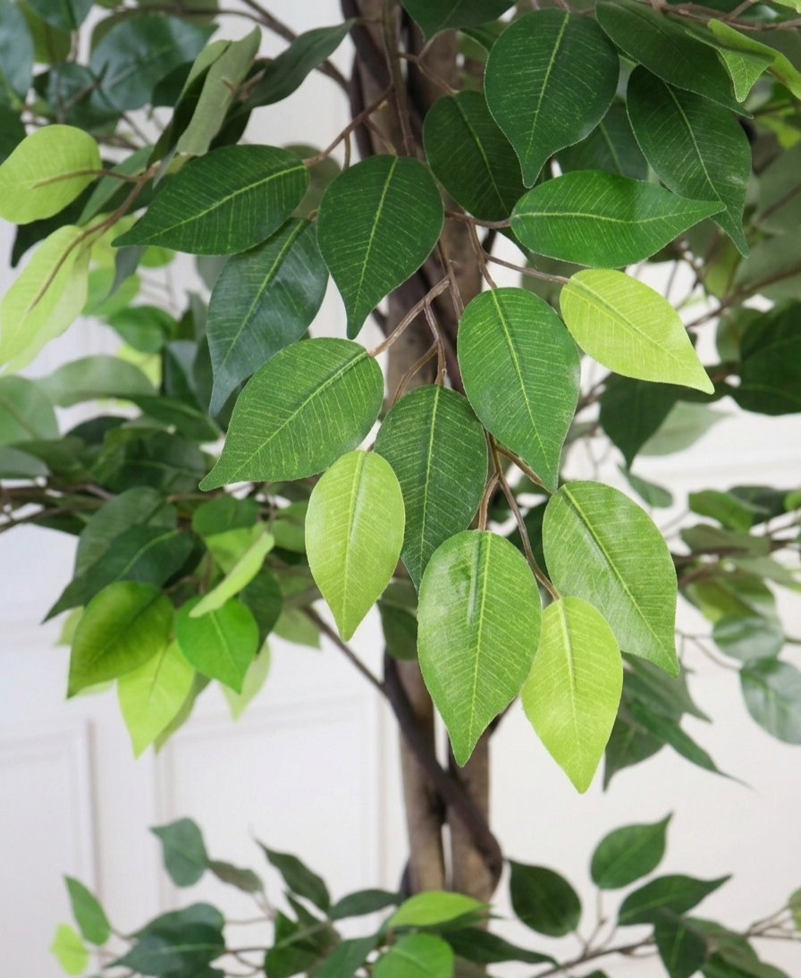 Ficus Artificial Plant Ficus Artificial Plant