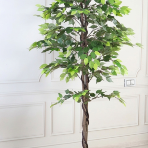 Ficus Artificial Plant